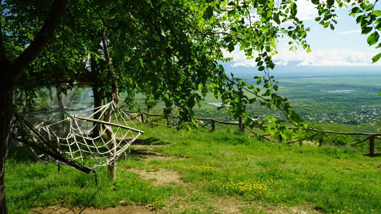 Tsanava'S Cottage In Sighnaghi Bagian luar foto