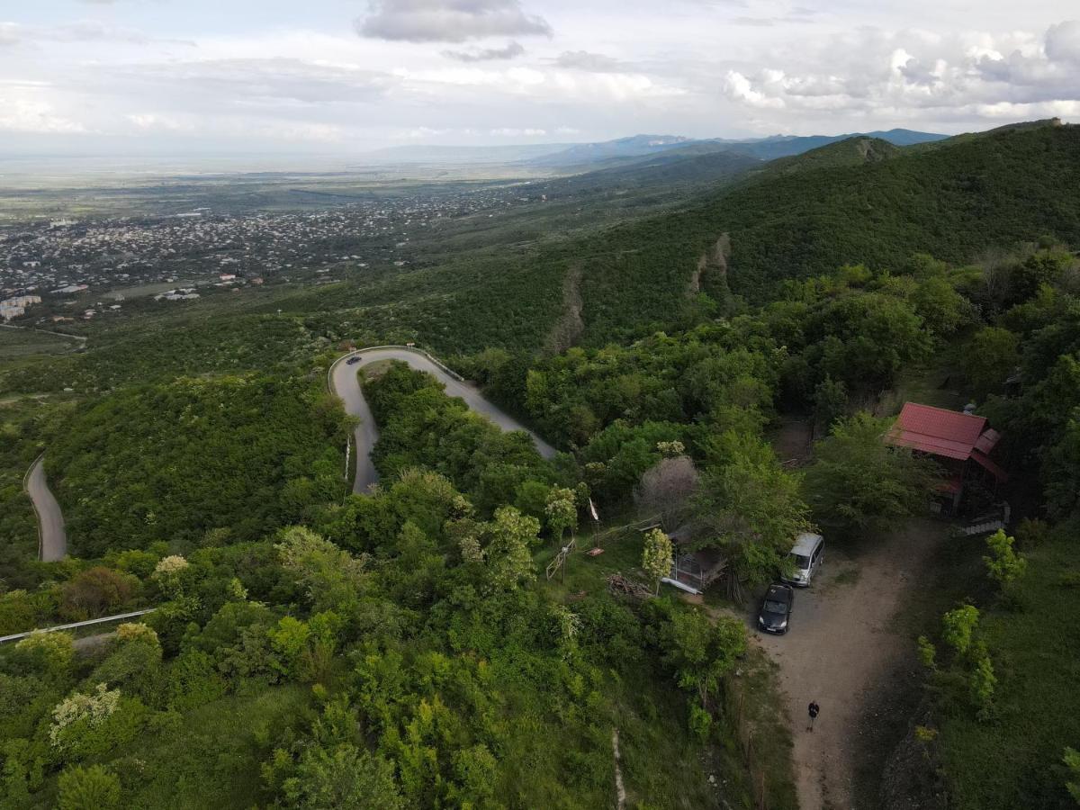 Tsanava'S Cottage In Sighnaghi Bagian luar foto