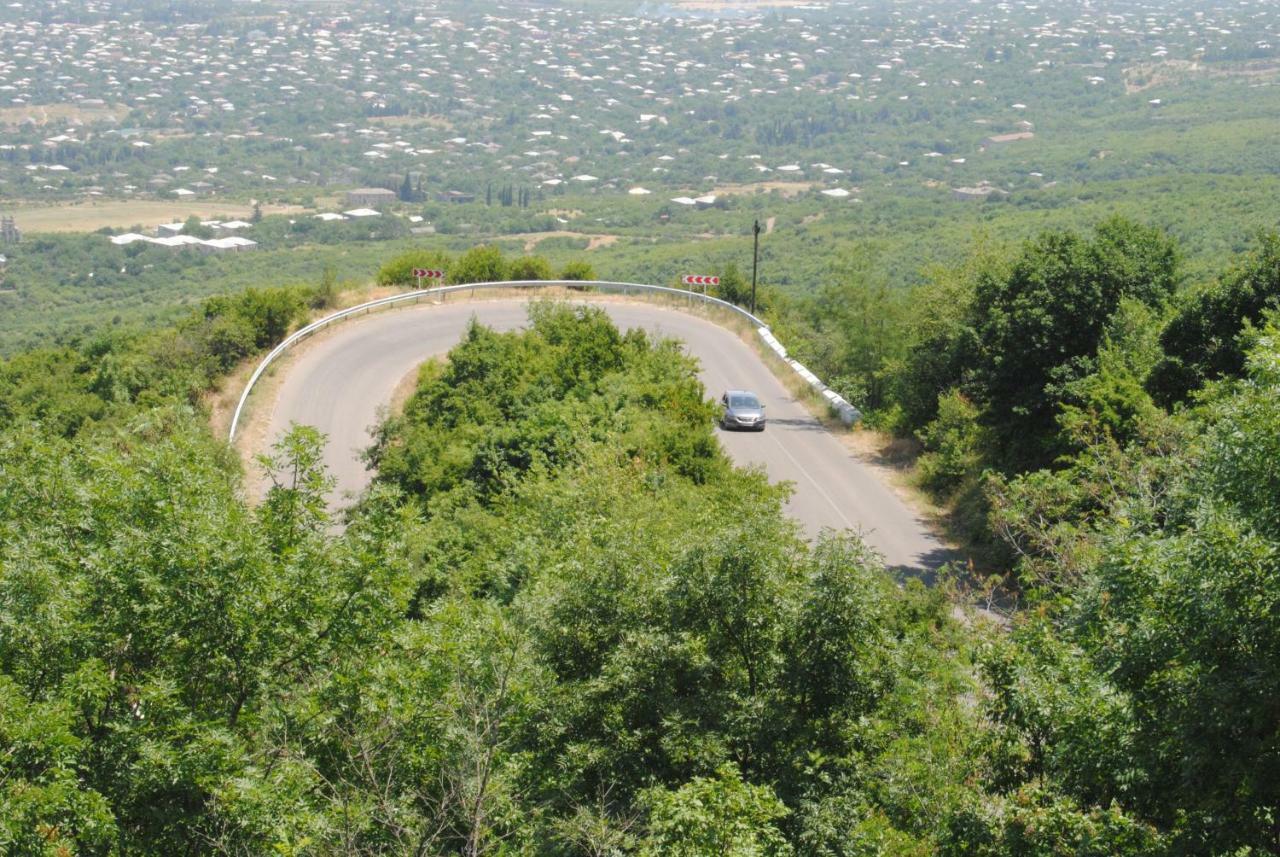 Tsanava'S Cottage In Sighnaghi Bagian luar foto