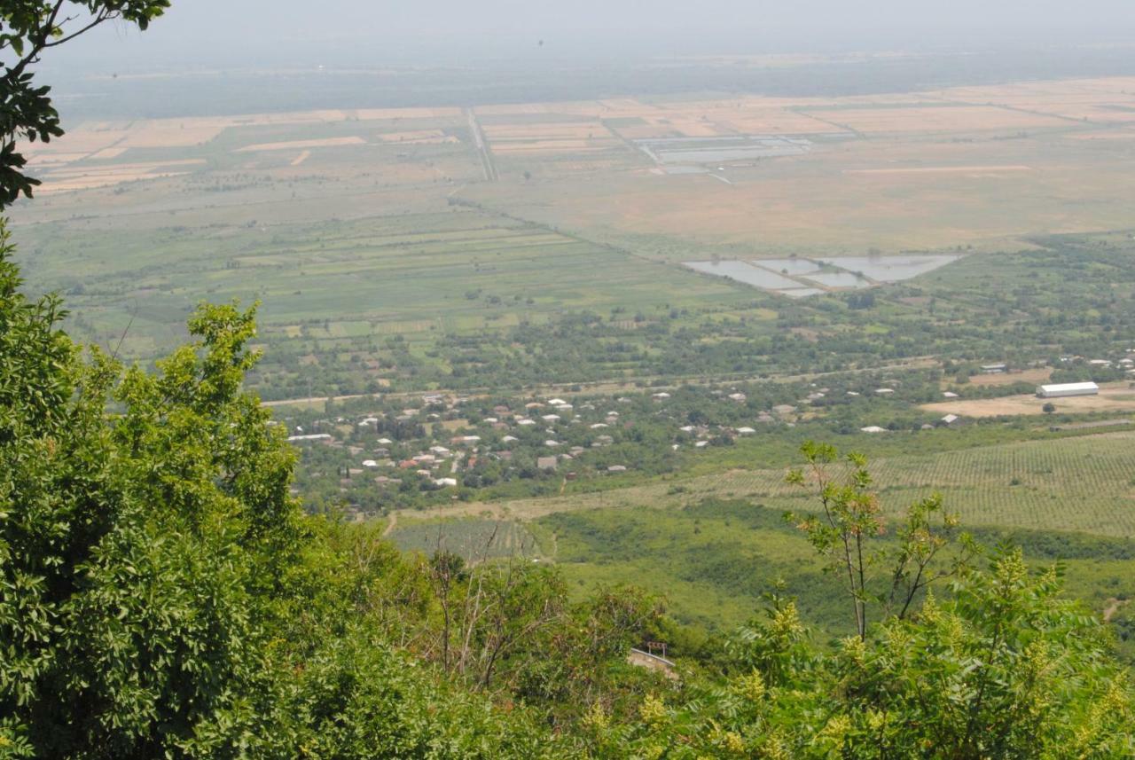 Tsanava'S Cottage In Sighnaghi Bagian luar foto