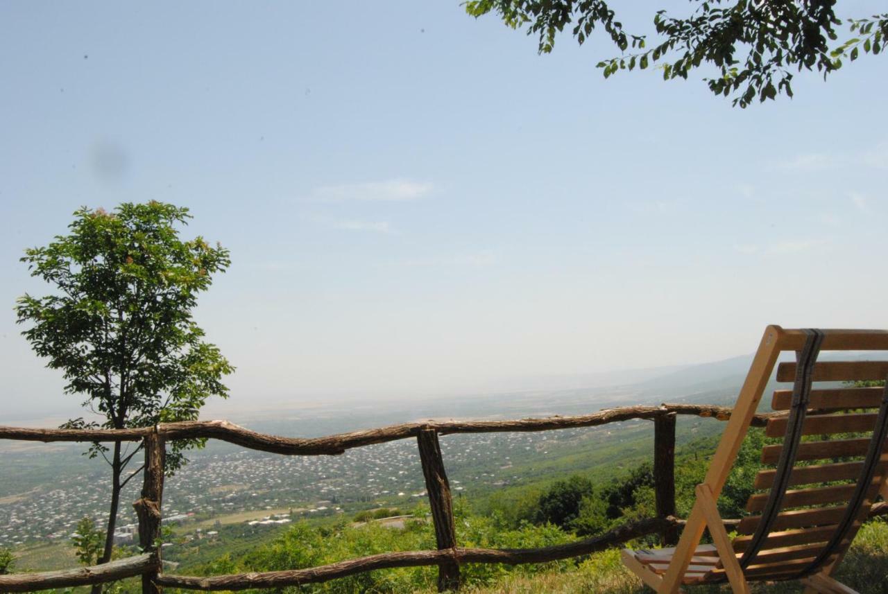 Tsanava'S Cottage In Sighnaghi Bagian luar foto